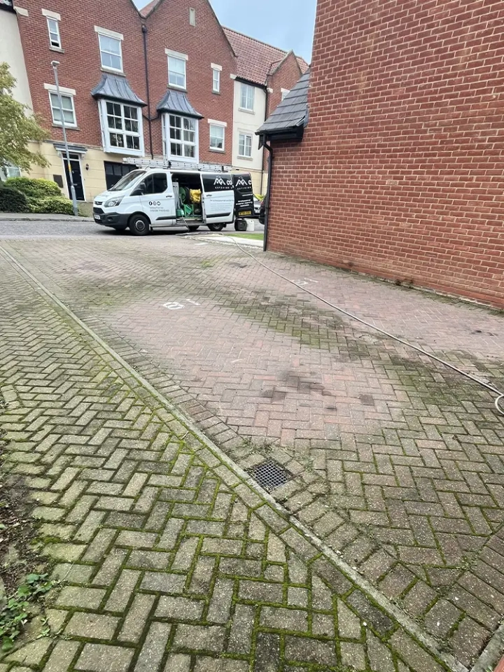 Mossy Driveway