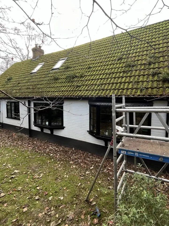 Mossy Roof Clean