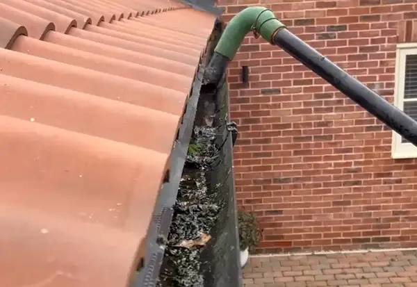 Gutter Moss Removal Norfolk